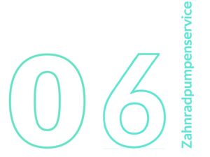 Zahnradpumpen- <br/>Service
